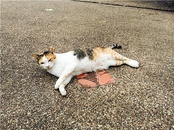 Stadia独占游戏《Outcasters》将与云游戏服务同时关服