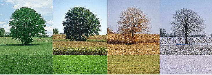 《破晓传说》媒体赞誉宣传片 Steam获特别好评